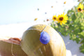 Hibiscus Coastal Glass Necklace