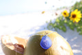 Palm Tree Coastal Glass Necklace