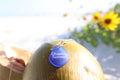 Chasing Sunsets Coastal Glass Necklace