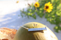 Saltwater Heart Minimalist Coastal Bar Necklace