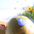 Dolphin Coastal Glass Necklace